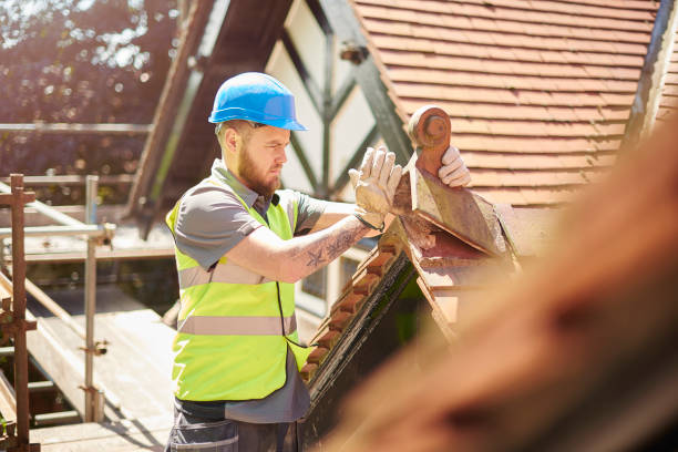 Roof Gutter Cleaning in Rock Creek, AL